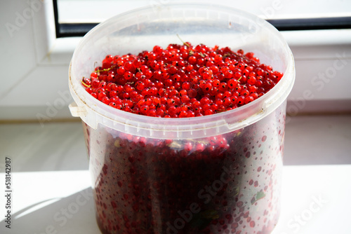 a big beautiful transparent bucket of currants with red berries on a white windowsill on a sunny day photo