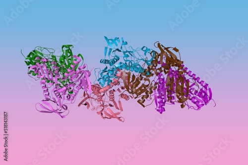 X-ray structure of human thioredoxin reductase 1. Ribbons diagram with differently colored protein chains based on protein data bank. Scientific background. 3d illustration