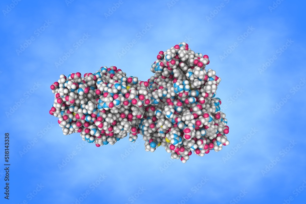 Dihydroimidazoisoquinoline derivatives as phosphodiesterase 10A inhibitors for the treatment of schizophrenia. Space-filling molecular model. Rendering based on protein data bank. 3d illustration