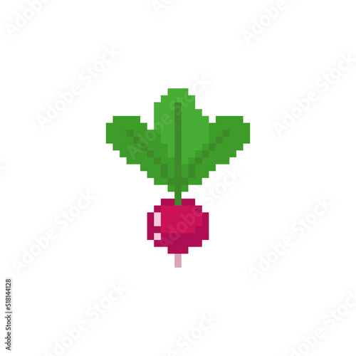 Radish pixel art. vegetable garden plant 8 bit. pixelated Vector illustration