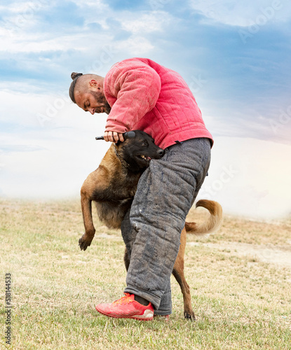 training of belgian shepherd