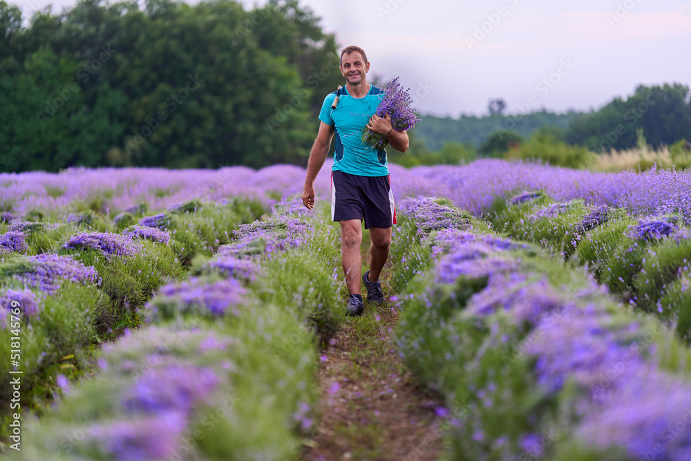 Happy farmer in his lavender field at harvest Happy farmer in his lavender field at harvest