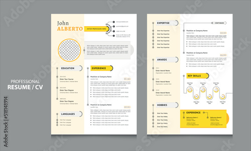 modern resume with infographics design for job