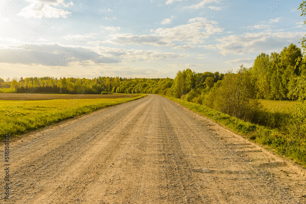 Empty Sandy country road near the forest,fluffy clouds blue sky,summer evening landscape. Empty Sandy country road near the forest,fluffy clouds blue sky,summer evening landscape.