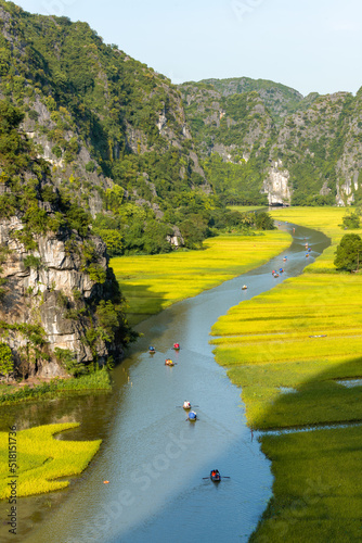 Yellow rice field on Ngo Dong river in Tam Coc Bich Dong from mountain top view in Ninh Binh, Viet Nam