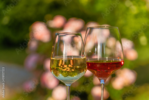 A glasses of red and white wine against outdoor garden background.