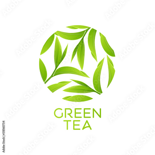 green tea leaves Vector illustration