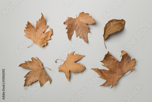 Flat lay composition with autumn leaves on color background, top view