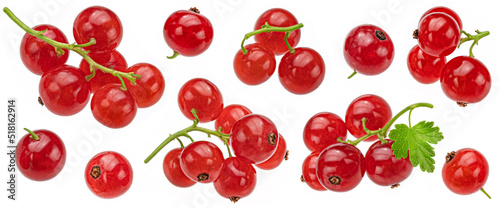 Red currant isolated on white background