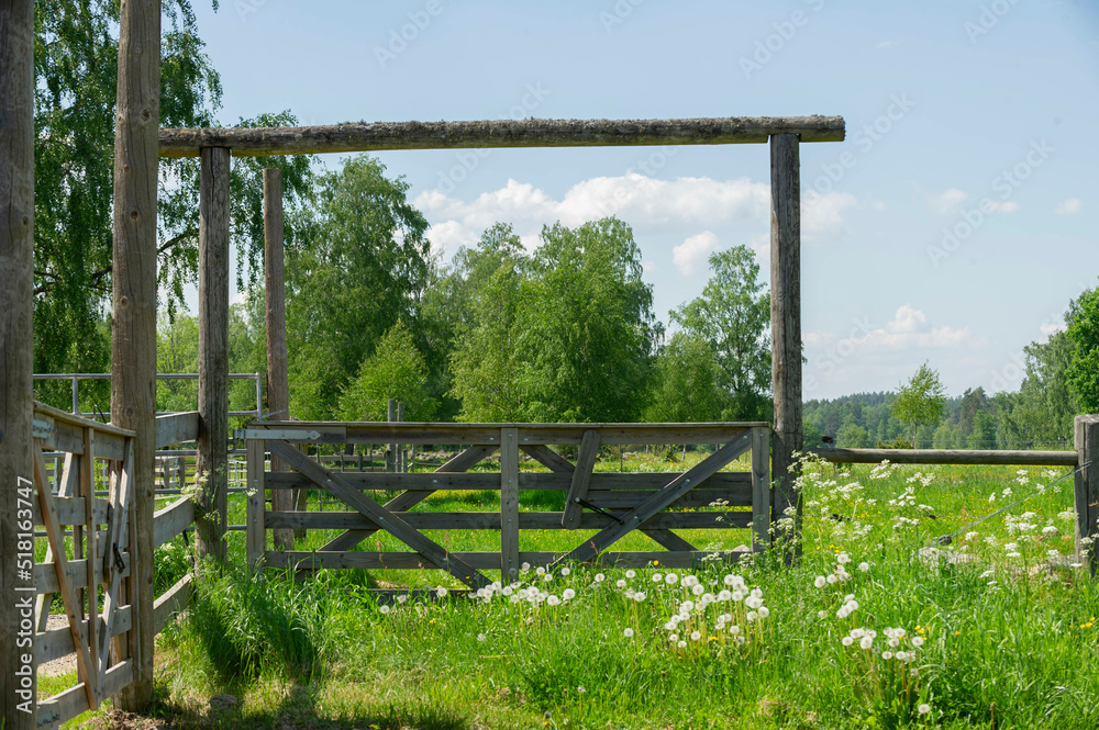 fence in the swedish meadow