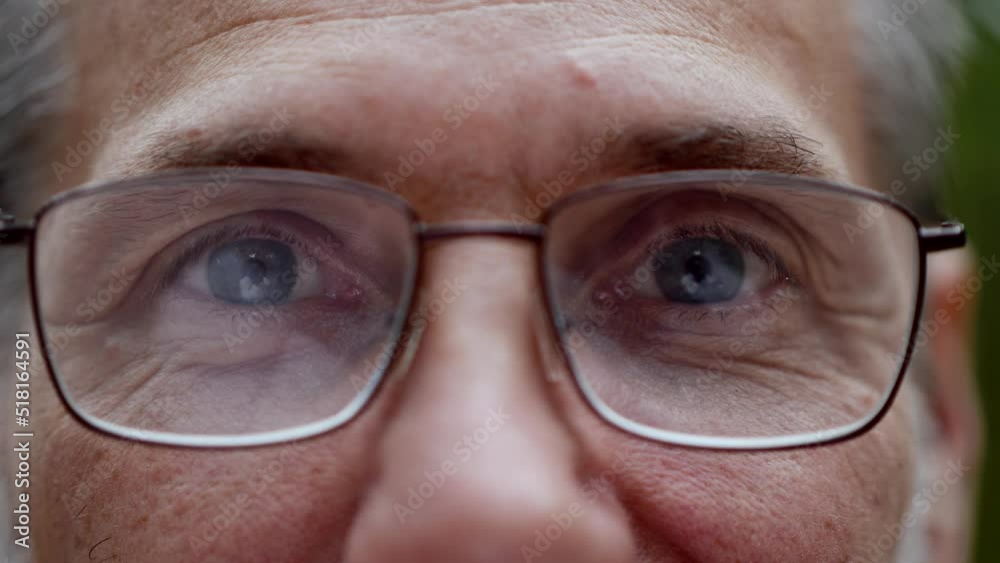 Portrait of an elderly man with glasses. An adult man with a gray beard.