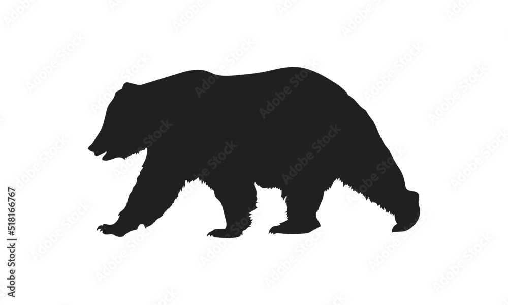 Fototapeta premium Bear Vector
