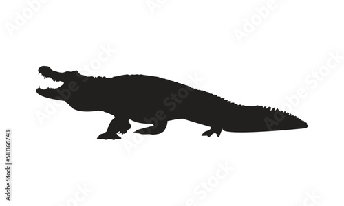 Crocodile Vector