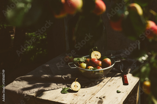 Leinwand Poster Many ripe pears in a colander on wooden garden table
