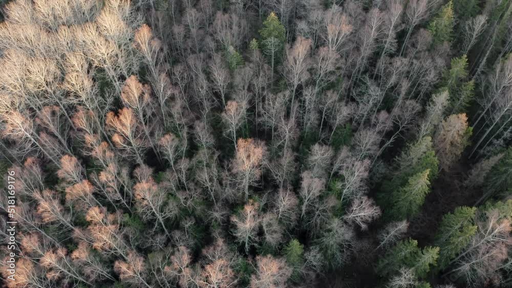 Aerial shot of spring forest landscape. Trees without leaves. Aerial shot of spring forest landscape. Trees without leaves.
