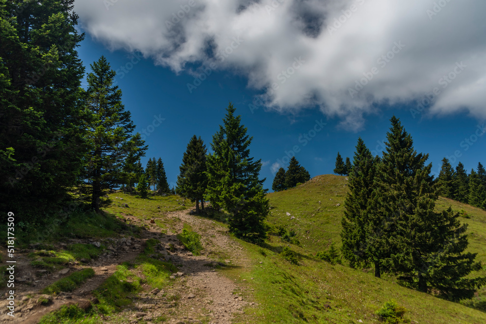 Beautiful blue sky summer day in Velika Planina mountains in Slovenia