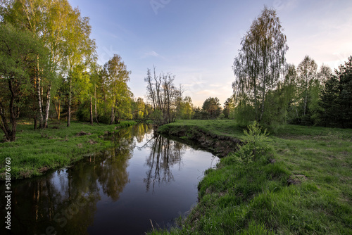 Bright May greens. Picturesque landscape with a small river. Evening pacifying landscape with a river and trees.