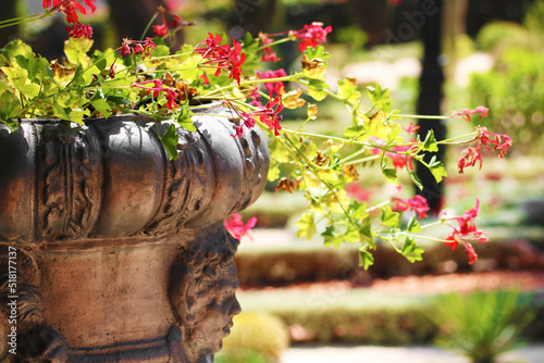 The red flowers in vase decorates the Bahai Garden, Haifa, Israel