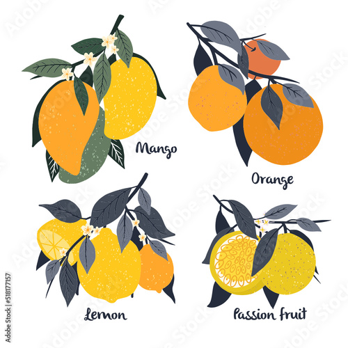 Set of fruits, Mango, Lemon, Orange and Passion fruit isolated on white background. Vector illustration.