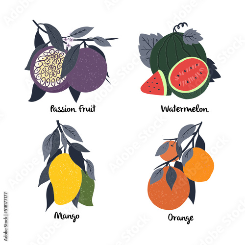 Set of fruits, Passion fruit, Watermelon, Mango and Orange isolated on white background. Vector illustration.
