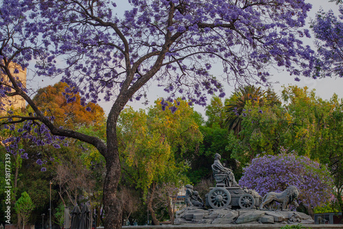 Slika na platnu The fountain of Cibeles in Madrid Square, at colonia Roma in Mexico City - An ex