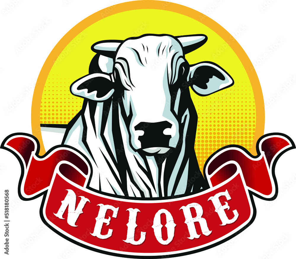 NELORE NO VERMELHO