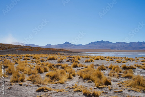 Altiplano Bolivien