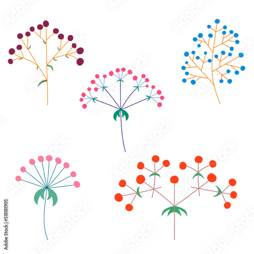 Vector set of flower inflorescences of plants on the stem. Flat style.
