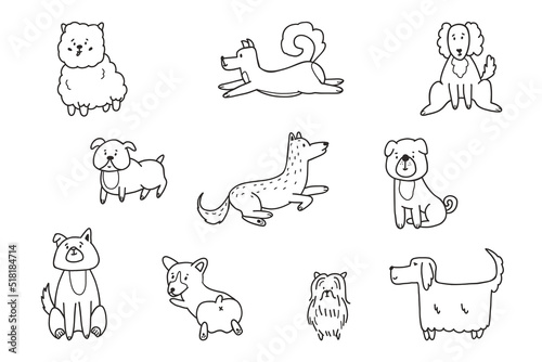 Fototapeta Naklejka Na Ścianę i Meble -  Cute dogs doodle vector set. Collection of dog and puppy characters in different poses in doodle style isolated on white background.