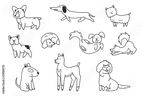 Cute dogs doodle vector set. Collection of dog and puppy characters in different poses in doodle style isolated on white background.