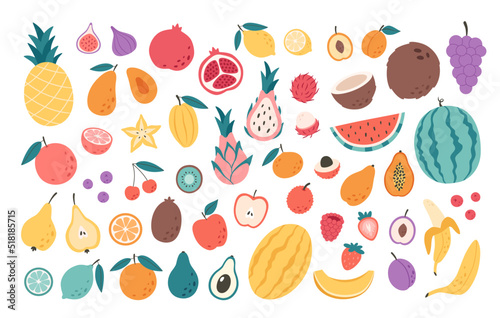 Fruits, berries and exotic fruits collection. Natural organic nutrition. Healthy food, dietetics products, fresh vitamin grocery products. Vector illustration in flat style