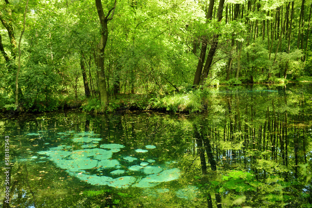 Fototapeta premium Niebieskie Zrodla or Blue Springs, famous for two pools fed by an underground spring which seem to shimmer at the bottom due to the action of entering water.