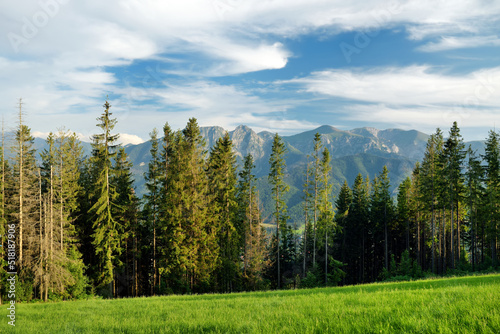 Fototapeta Naklejka Na Ścianę i Meble -  Aerial view of Tatra Mountains taken from the Gubalowka mountain range. High mountains and green hills in summer or spring.