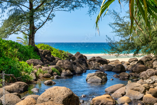 Beach in Hawaii © skostep