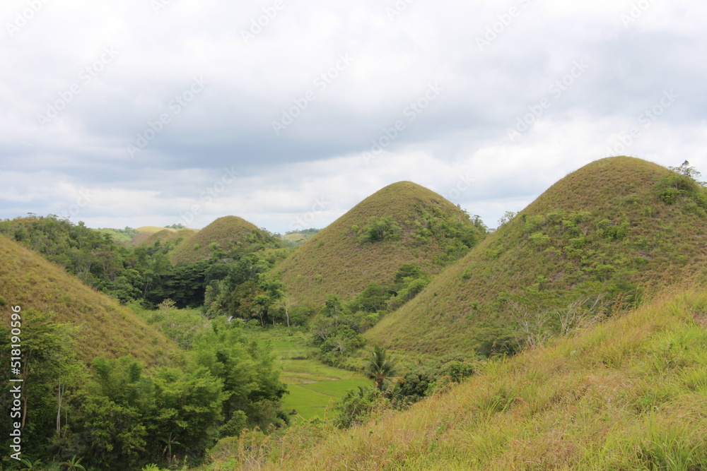 Naklejka premium landscape with sky