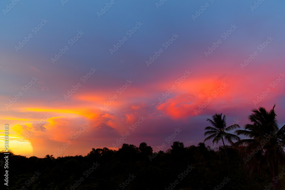 Red sunset cloudy sky and palm trees on tropical island. Wide angle view.