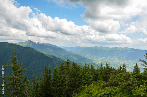 Beautiful mountain panorama with fir trees on green mountains, pasture valley under blue sky with cloud. Carpathian Mountains, Ukraine