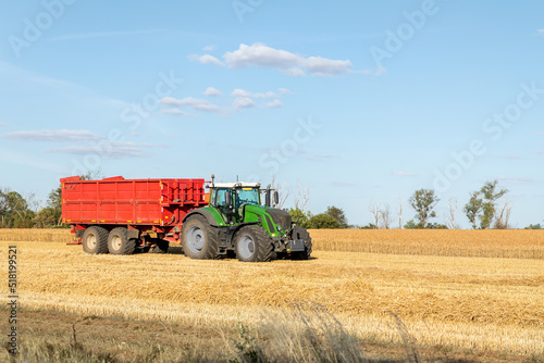 Big modern tractor trucker machine with full loaded with grain or silage wagon container trailer harvested wheat field after combine harvester. Agricultural machinery equipment industrial landscape