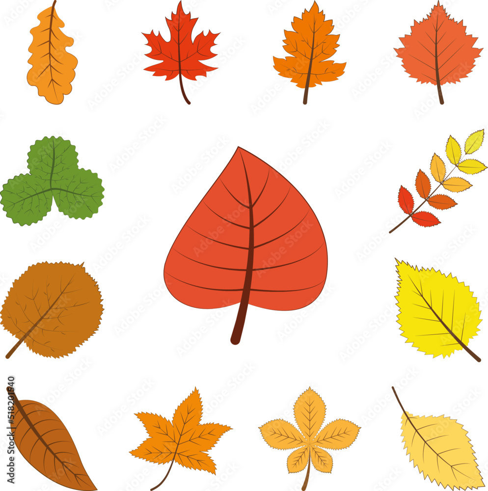 autumn red color leaf icon in a collection with other items