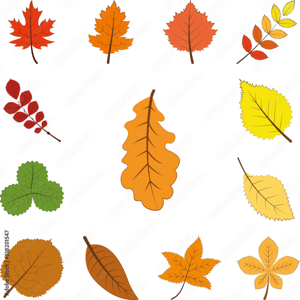 autumn yellow color leaf icon in a collection with other items