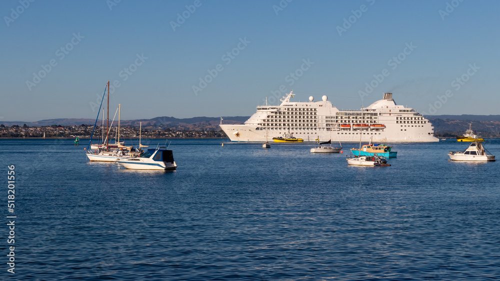 Cruise ship with pilot boats is coming to harbour