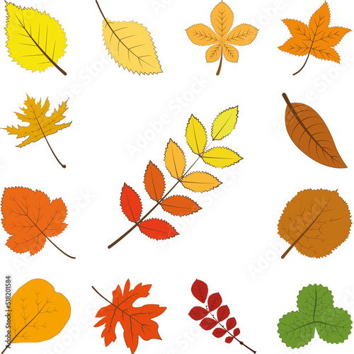 autumn multi color leaf icon in a collection with other items