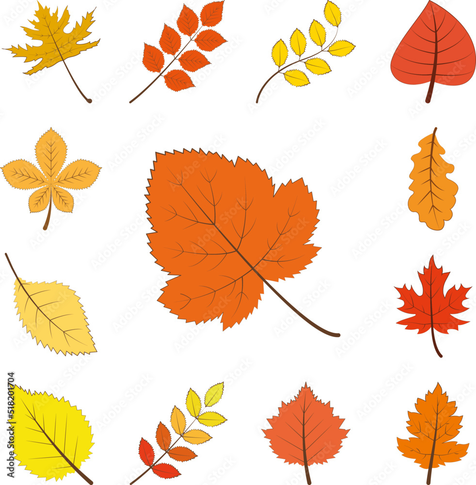 autumn orange color leaf icon in a collection with other items