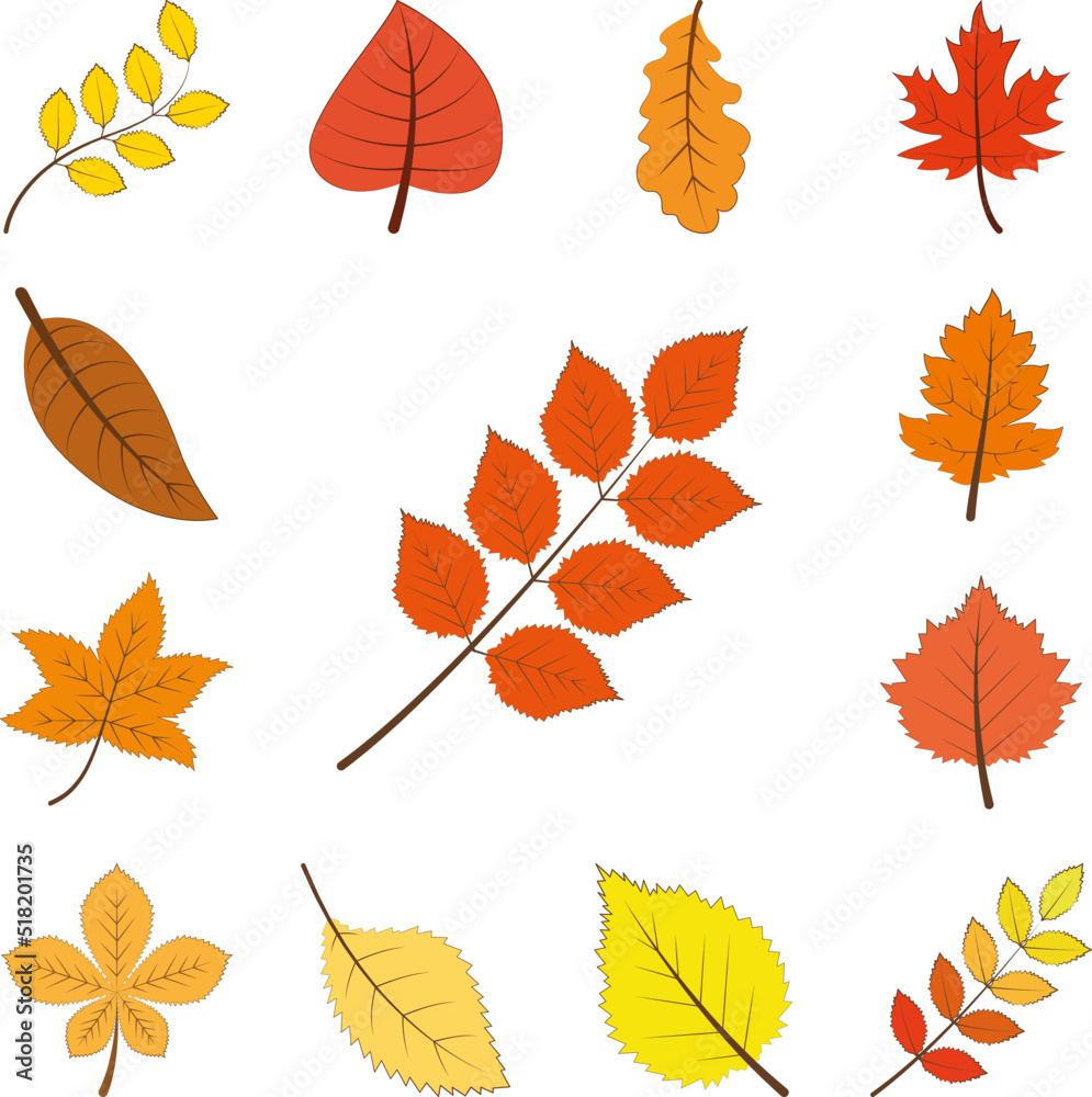 autumn orange color leaf icon in a collection with other items