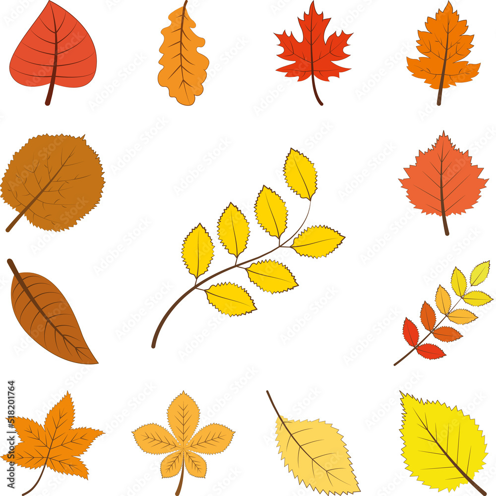 Obraz premium autumn yellow color leaf icon in a collection with other items