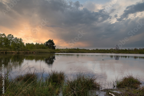 Evening light at the edge of a lake in the Maasduinen in Noord Limburg. Dutch landscape