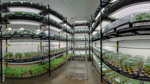 фотографія Indoor Marijuana Grow Facility | Cannabis Industry