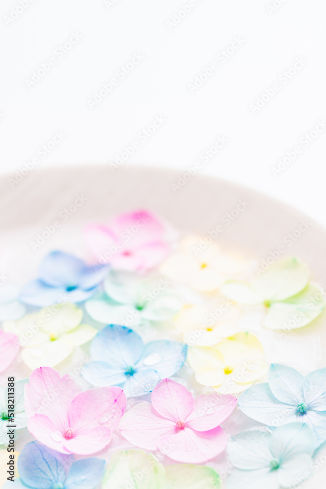 パステルカラー　淡い　花　紫陽花　背景