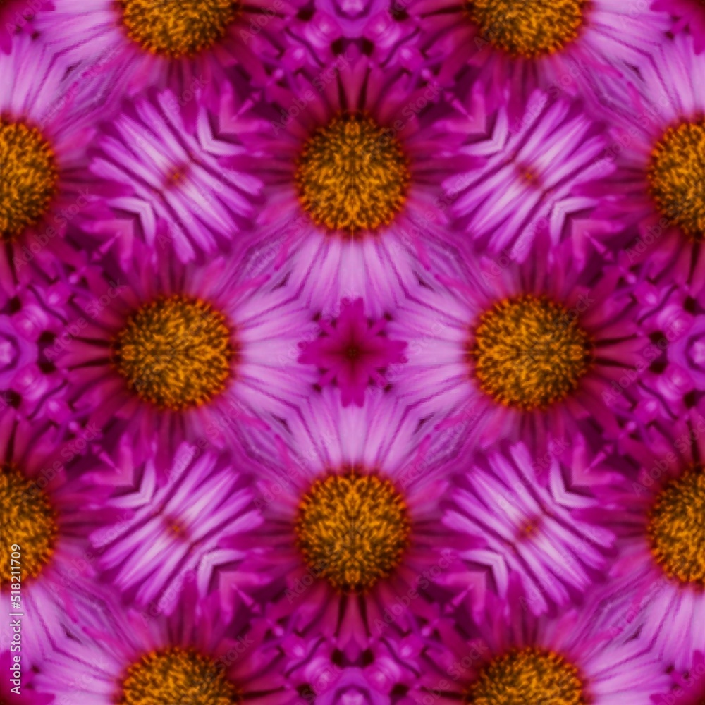 Obraz premium chrysanthemum flowers