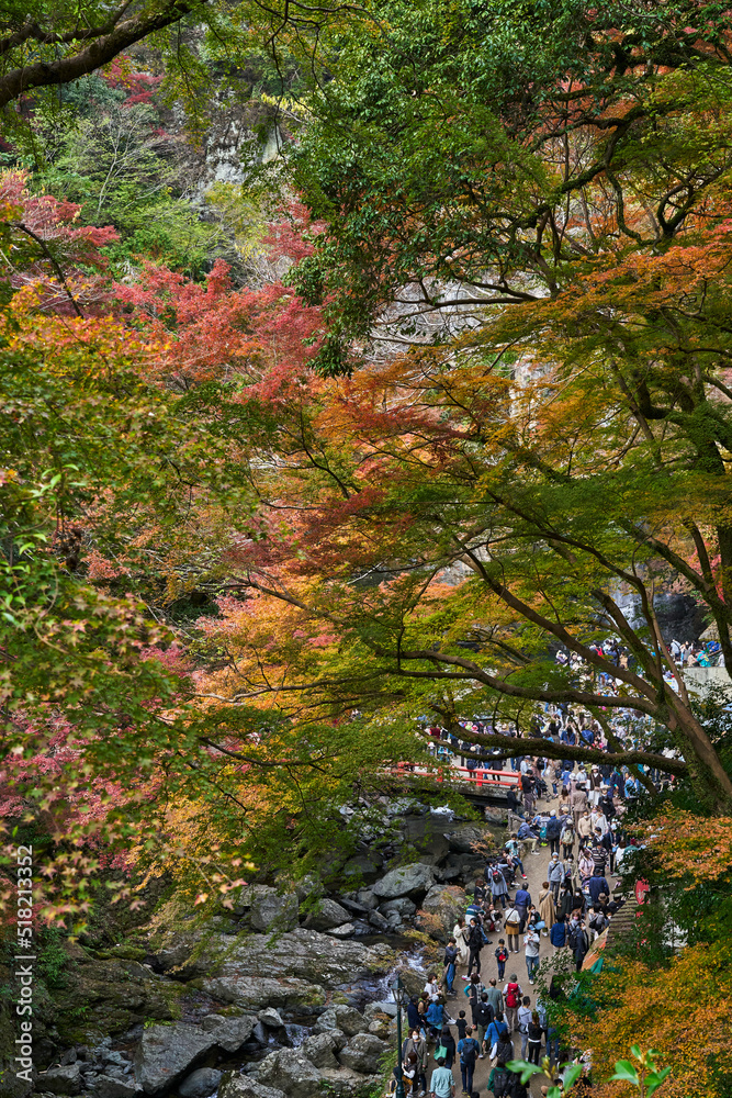 Mino Park in Autumn Mino Park in Autumn